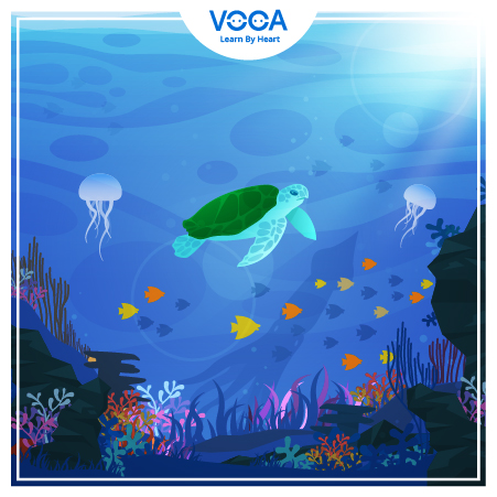 OUR HOUSES IN THE FUTURE (Skills)